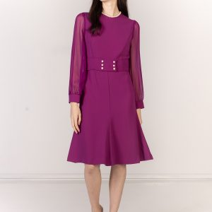Sheer - Sleeve Belted Dress